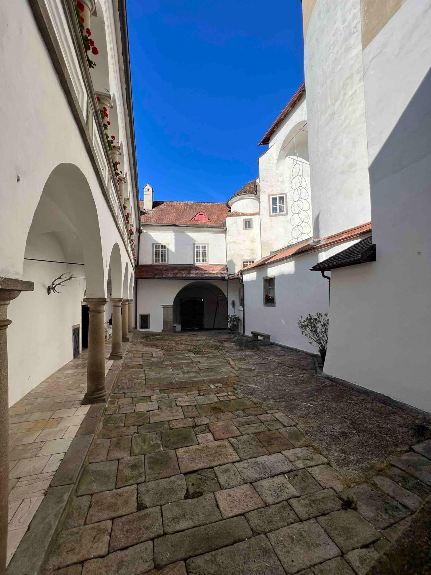 הוילה Schwertberg Charming Castle In Austria מראה חיצוני תמונה